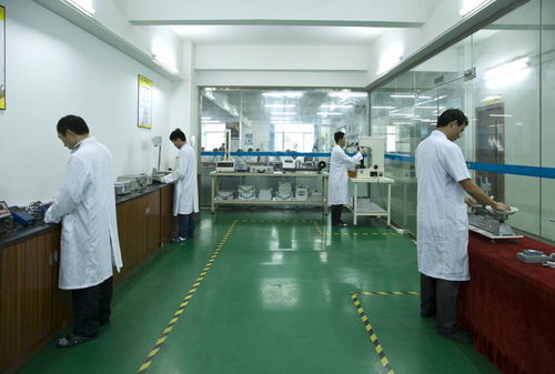 广东世通仪器校准计量检测中心 精密计量与研发创新的专业典范
